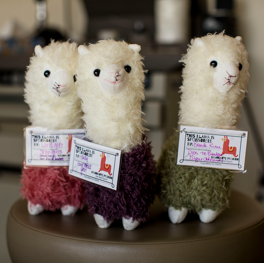 Joshua Demke, MD, founded a nonprofit organization, Cupcakes for Clefts, which sells stuffed llamas as fundraisers. 