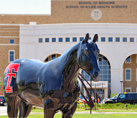 amarillo campus horse