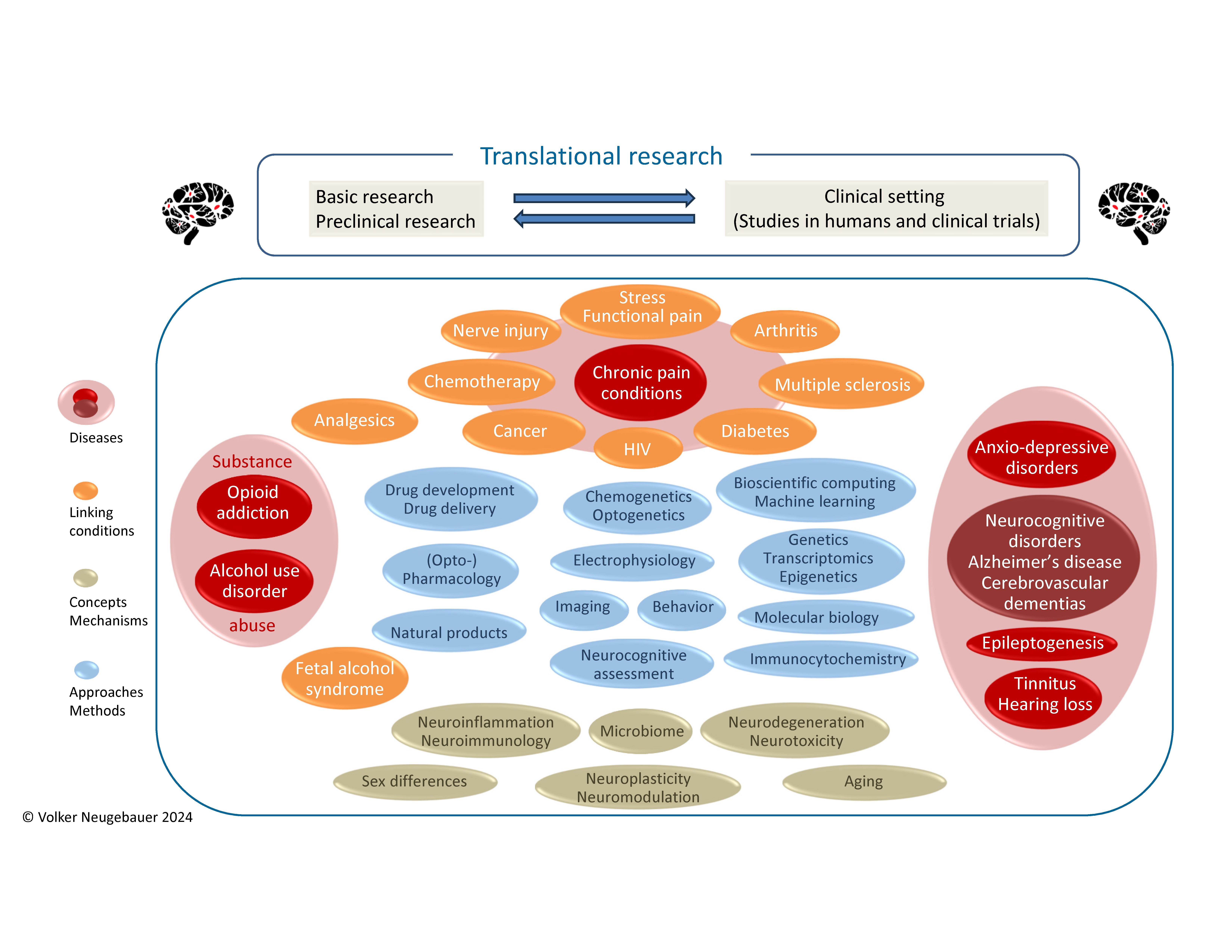 Process of translational research