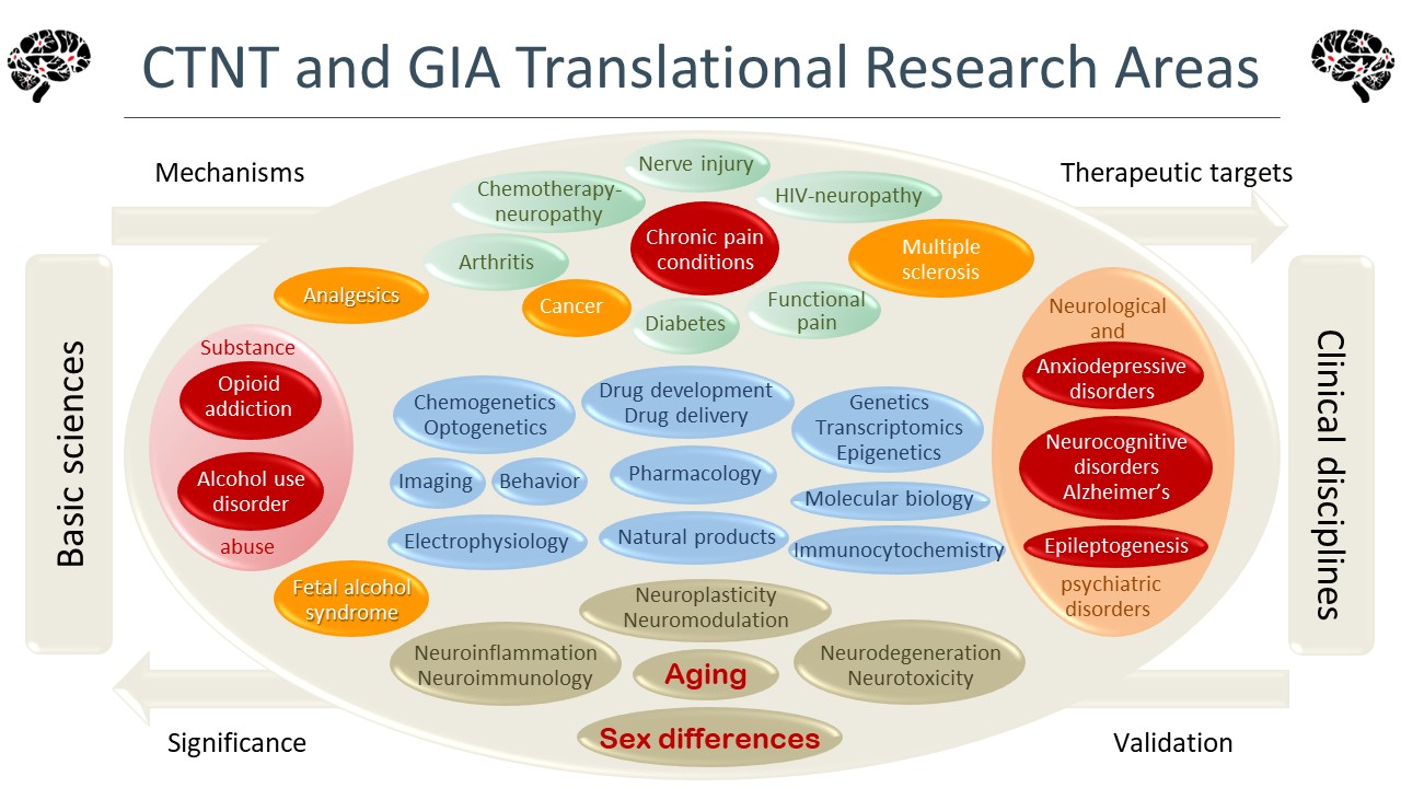 Process of translational research