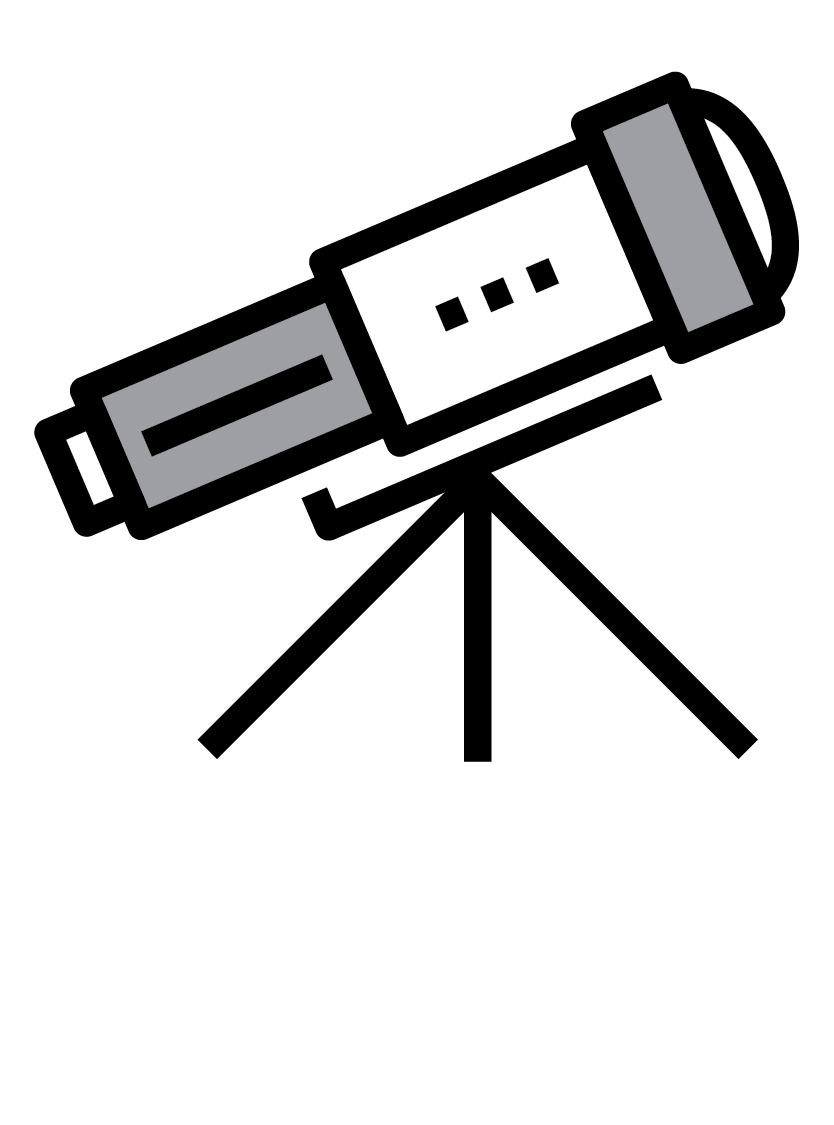 values visionary