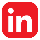 LinkedIn Icon