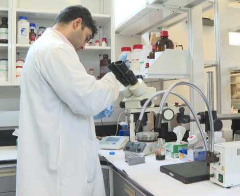 kamr blood brain barrier alzheimers