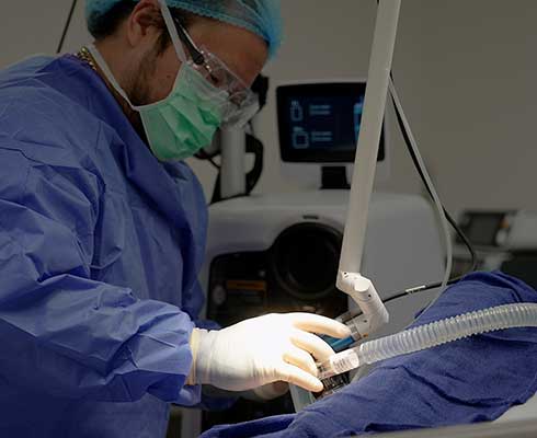 kfda pang laser burns treatment