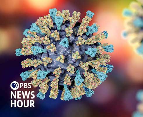 pbs measles cook