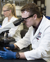 TTUHSC student in a lab