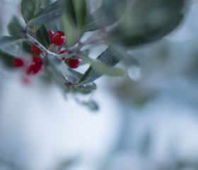 TTUHSC Winter Campus Image