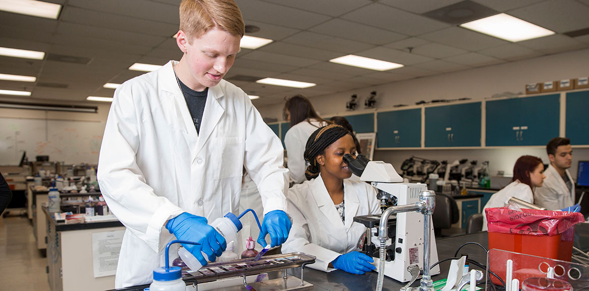 A TTUHSC CLS student uses gloved hands to irrigate slides while another students looks at them through a microscope