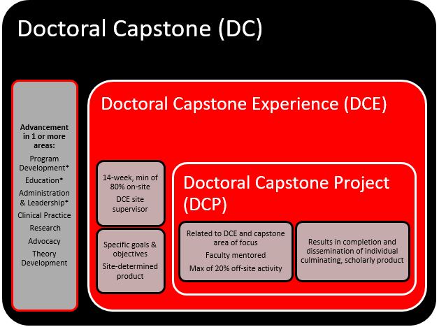 occupational therapy capstone project examples