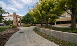 TTUHSC Amarillo Campus sidewalk