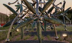 TTUHSC UC sculpture close-up