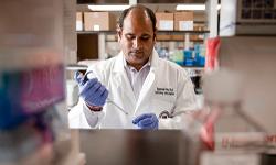 TTUHSC Faculty in a research lab