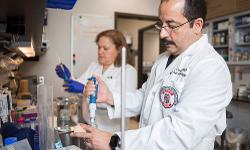 TTUHSC Faculty in a research lab