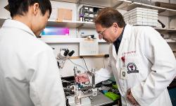 TTUHSC Faculty in a research lab