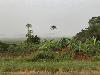Outside the village of Masaka. 