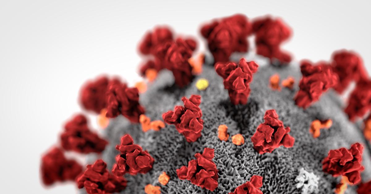 WHAT YOU NEED TO KNOW ABOUT COVID-19