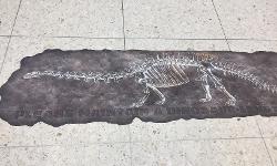 Decal of a dinosaur fossil