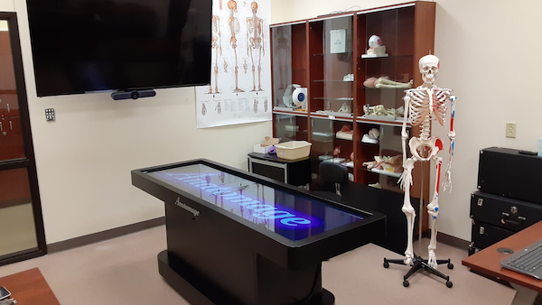 Anatomy Lab Anatomy Lab