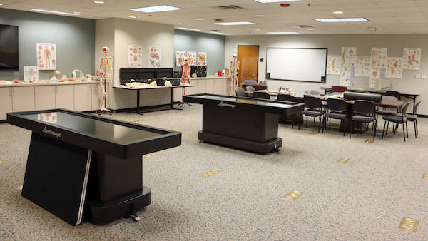 Anatomy Lab Anatomy Lab