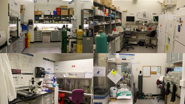 Research Labs Research Labs