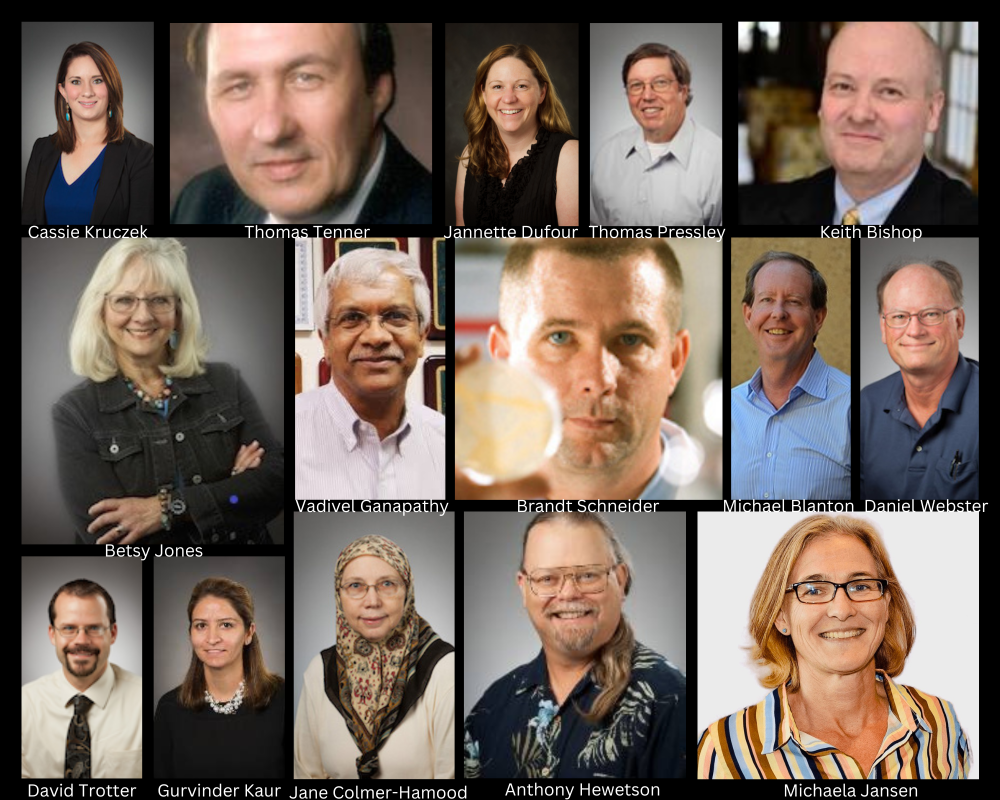 Faculty Collage