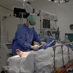 Ointment is applied at the end of the procedure