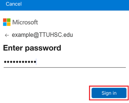 Microsoft Login Window