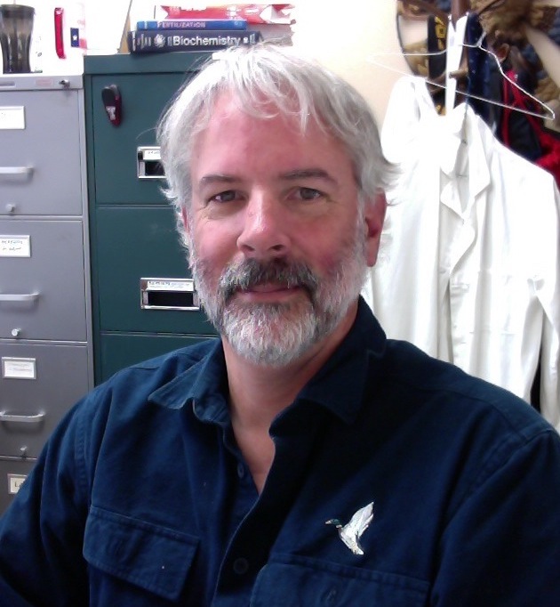 Daniel M. Hardy, Ph.D.