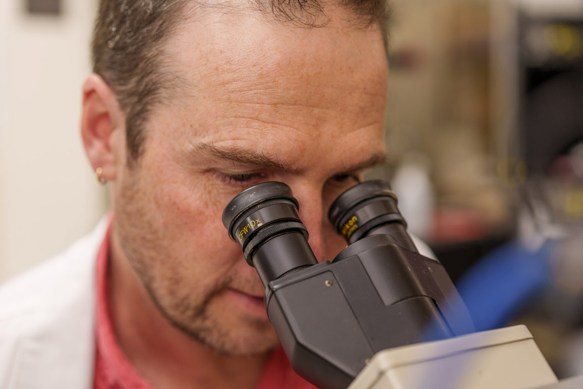 Pablo Artigas, Ph.D. looking into a microscope
