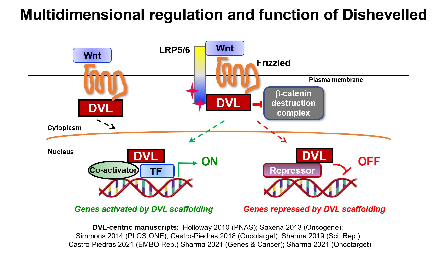 Pruitt Lab Schematic