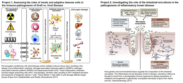 Grisham Research Schematic