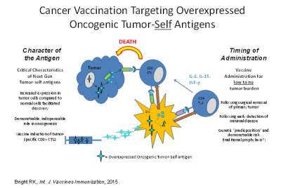 Bright Research Schematic