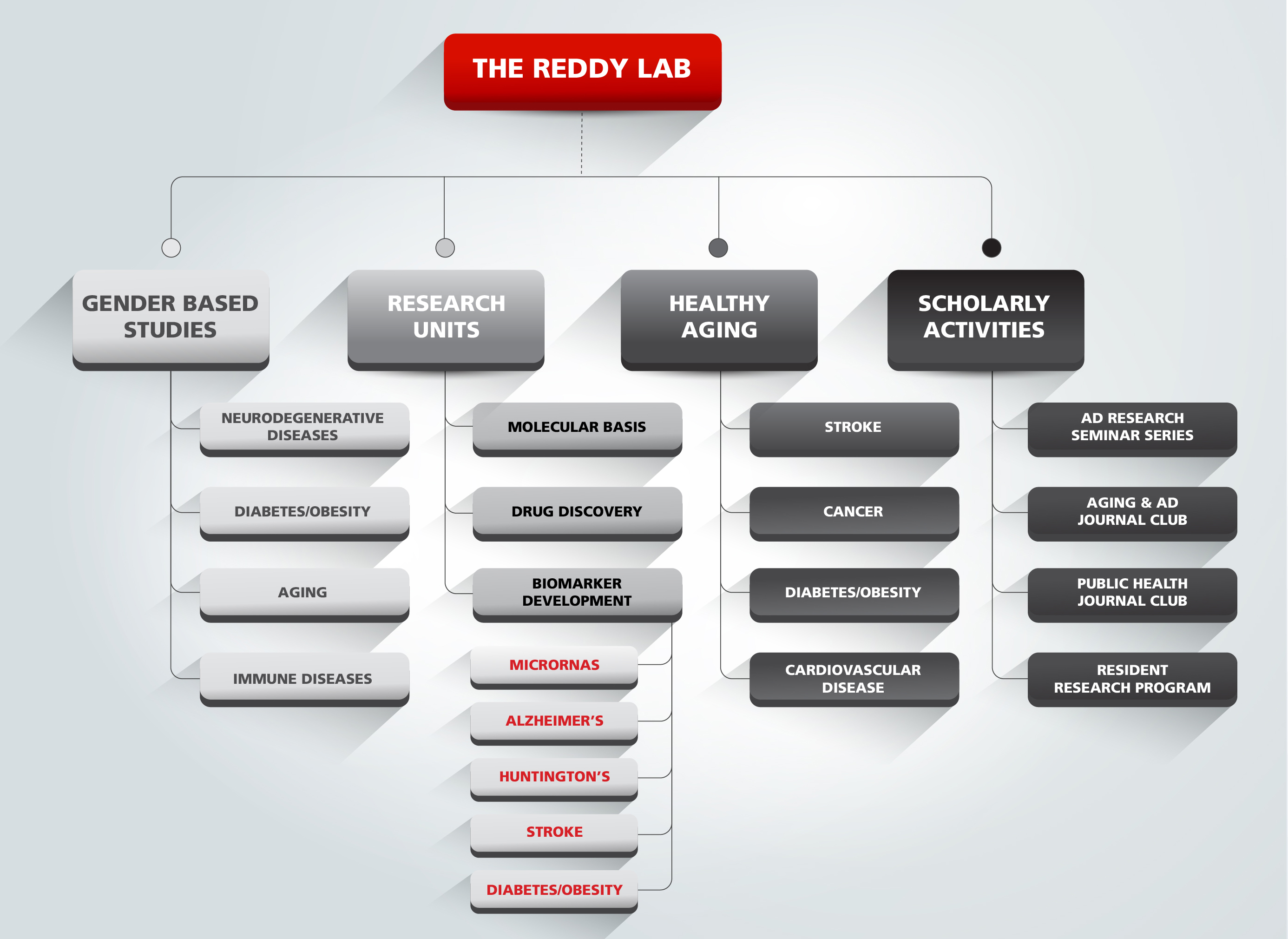 The Reddy Laboratory Flowchart