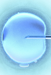 Fertility and Reproductive Surgery