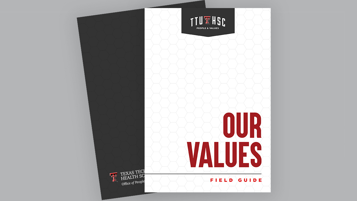 2022 edition of the Values Field Guide