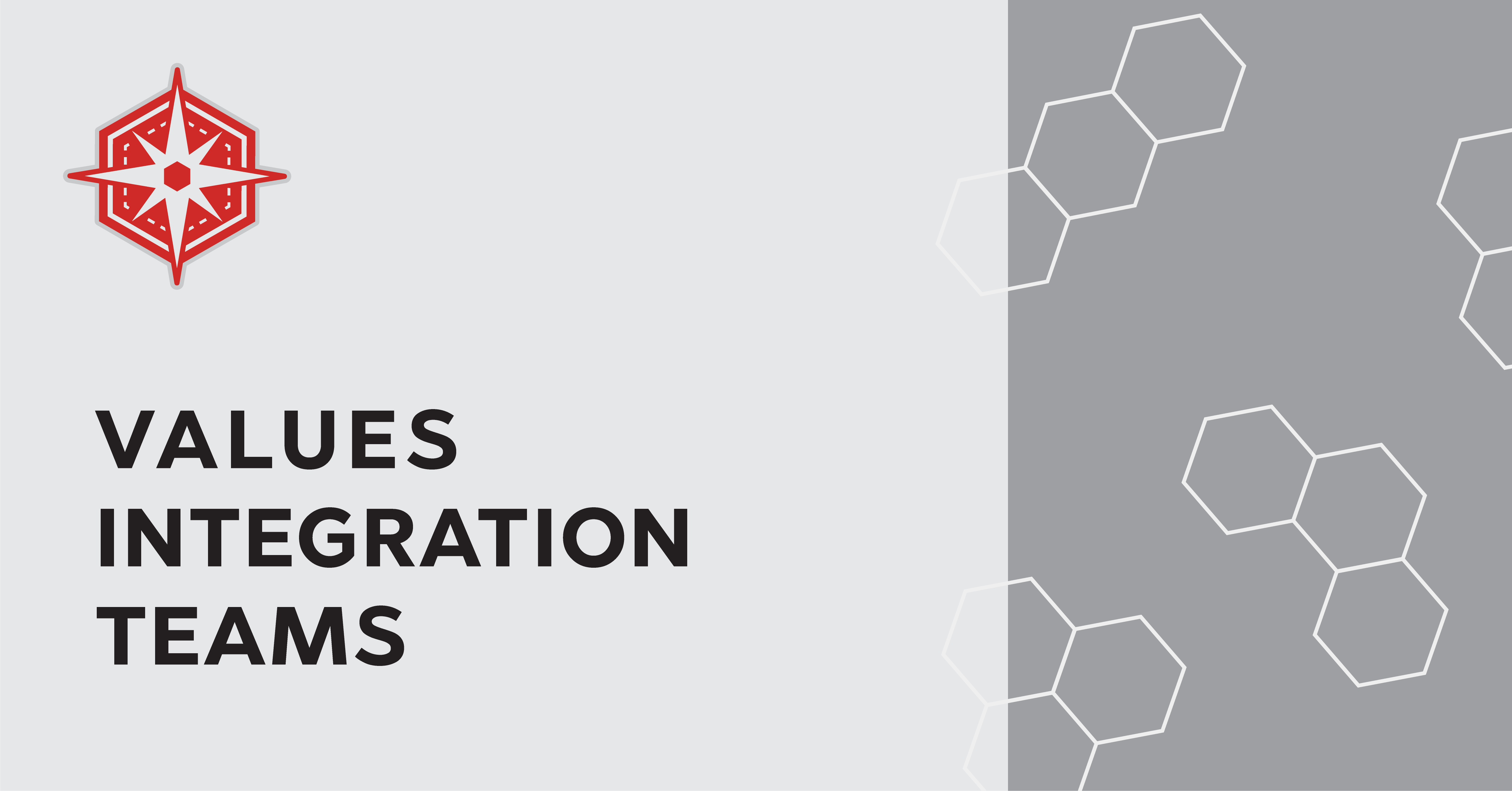 Values Integration Teams