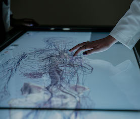 SOP Abilene Anatomage
