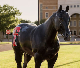SOP horse statue