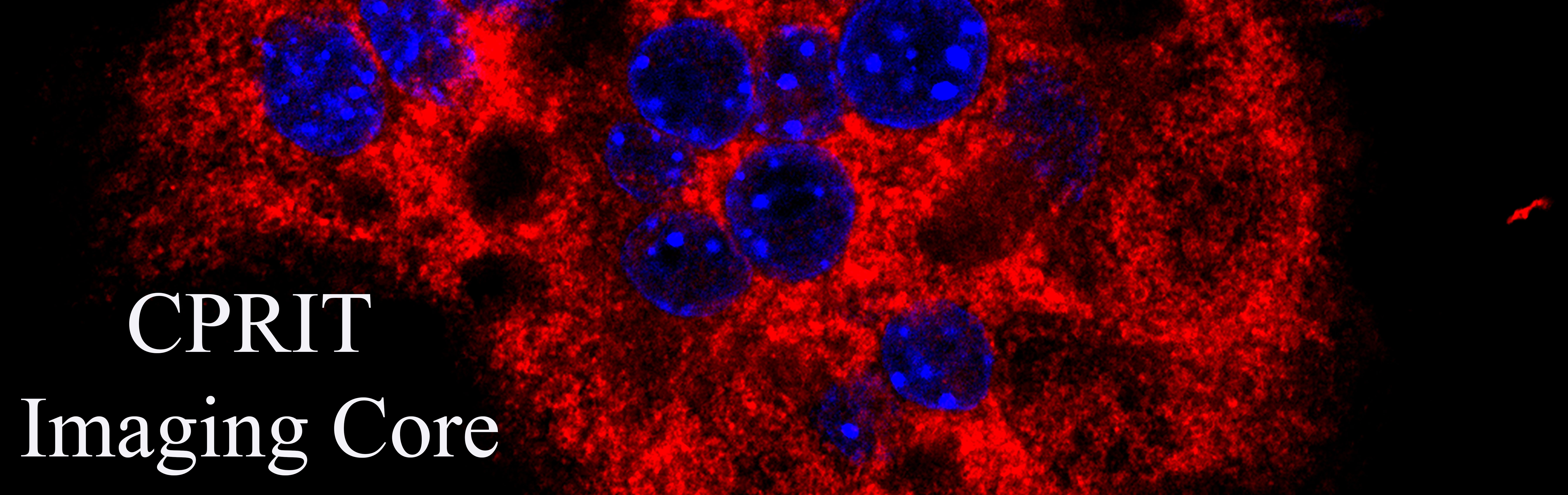 CPRIT Imaging Core