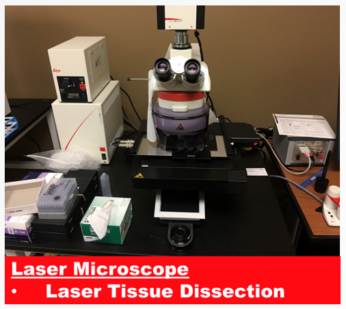 Laser Microscope