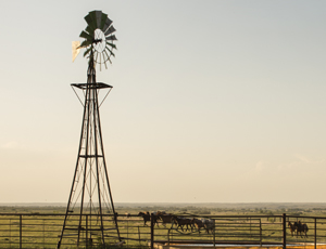 rural west texas