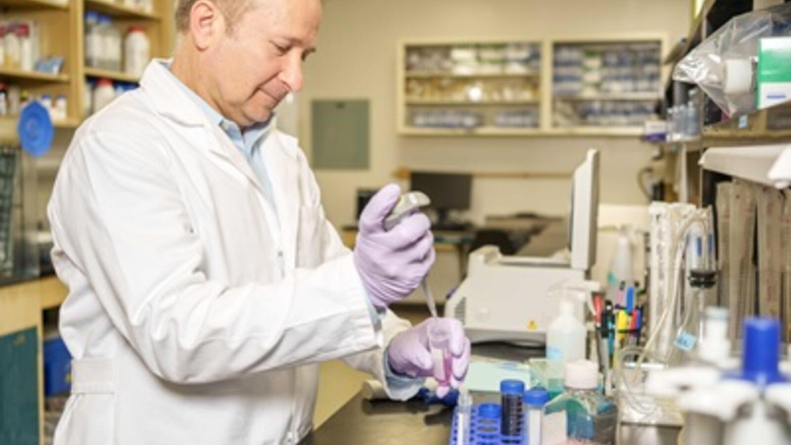 Andrey Karamyshev, Ph.D.