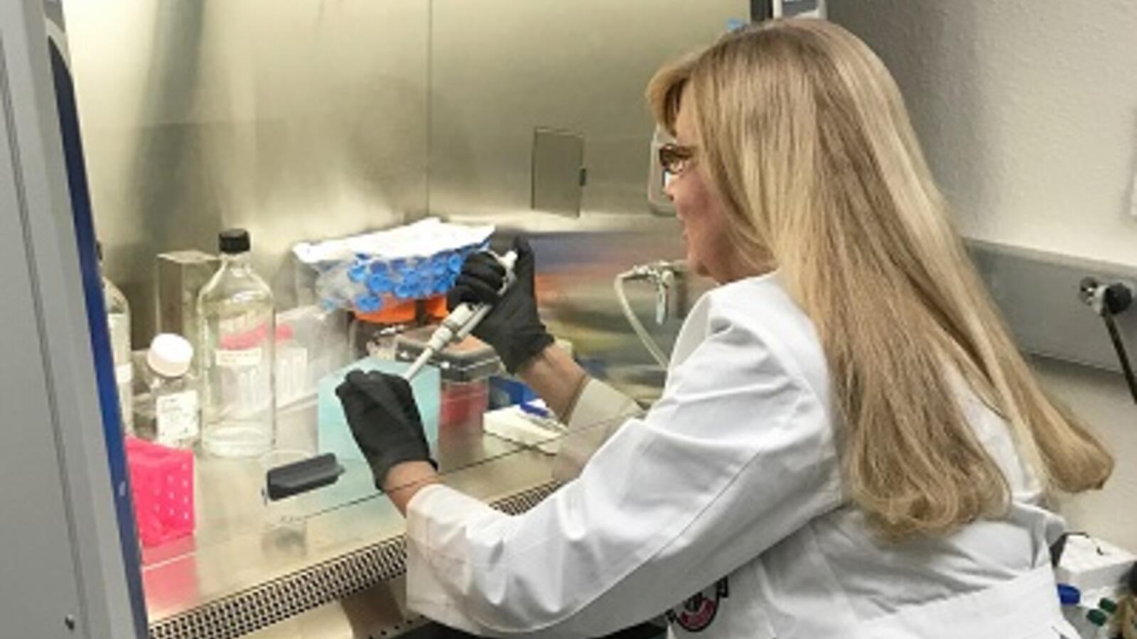 Tetyana L. Vasylyeva, M.D., Ph.D. working in a lab