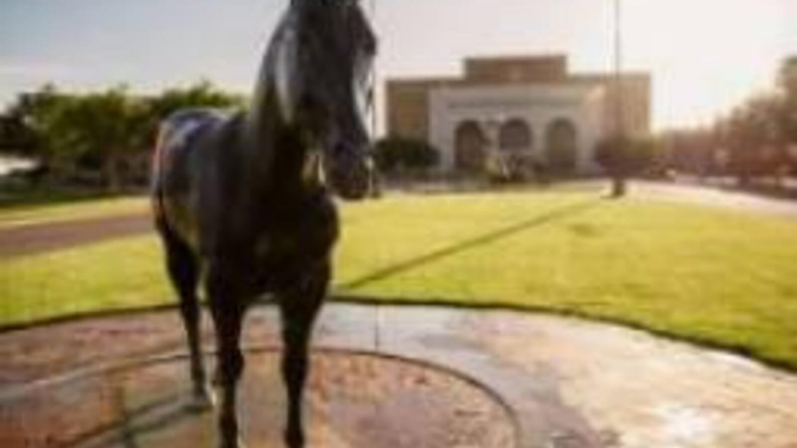 TTUHSC Amarillo campus