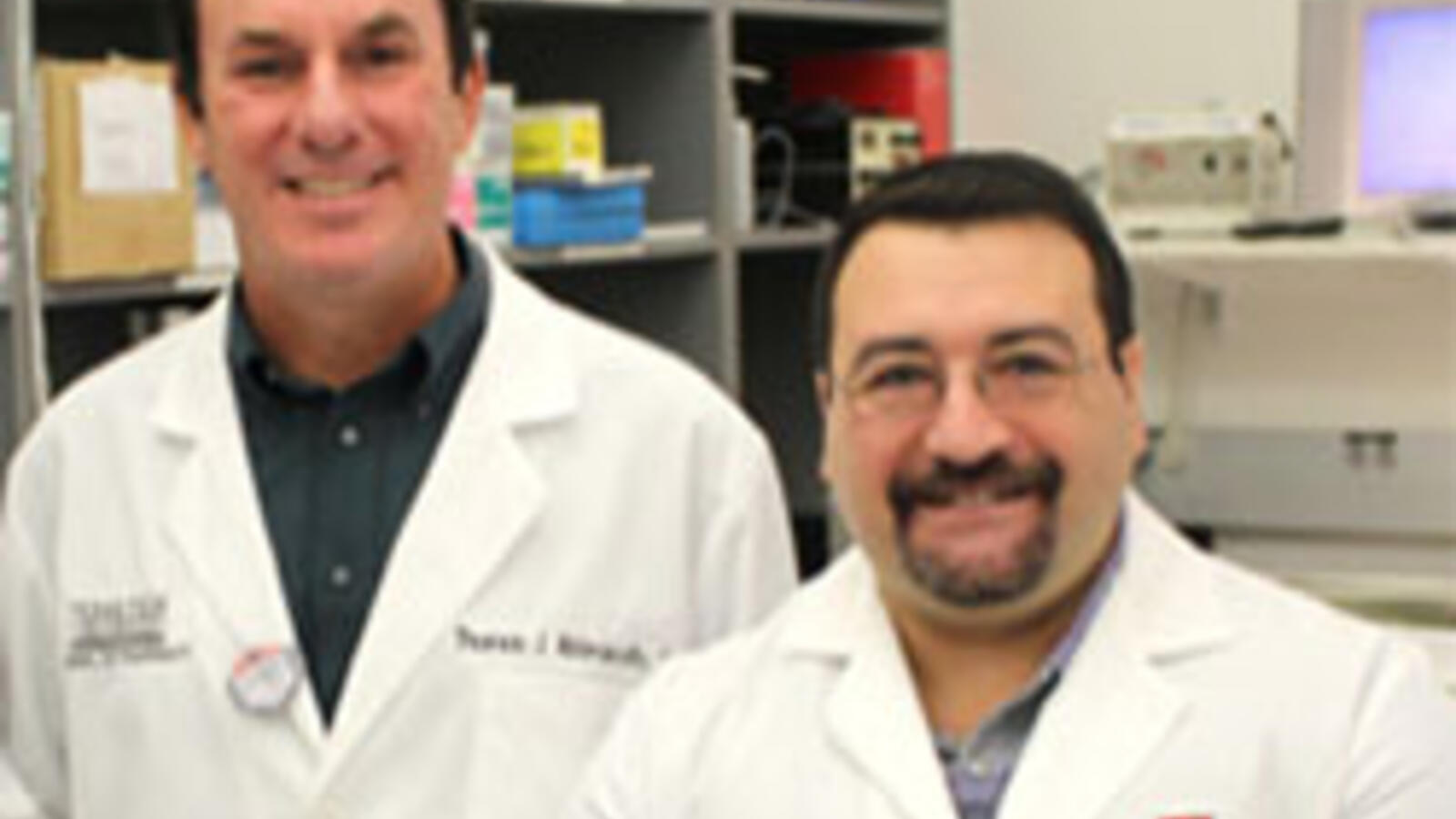 Thomas Abbruscato, Ph.D., and Luca Cucullo, Ph.D.,