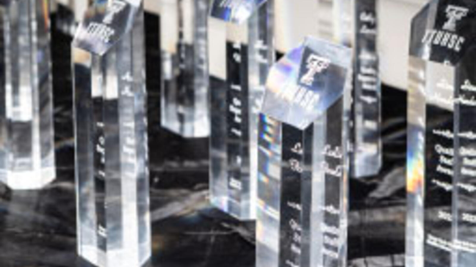 Distinguished Staff Awards trophies