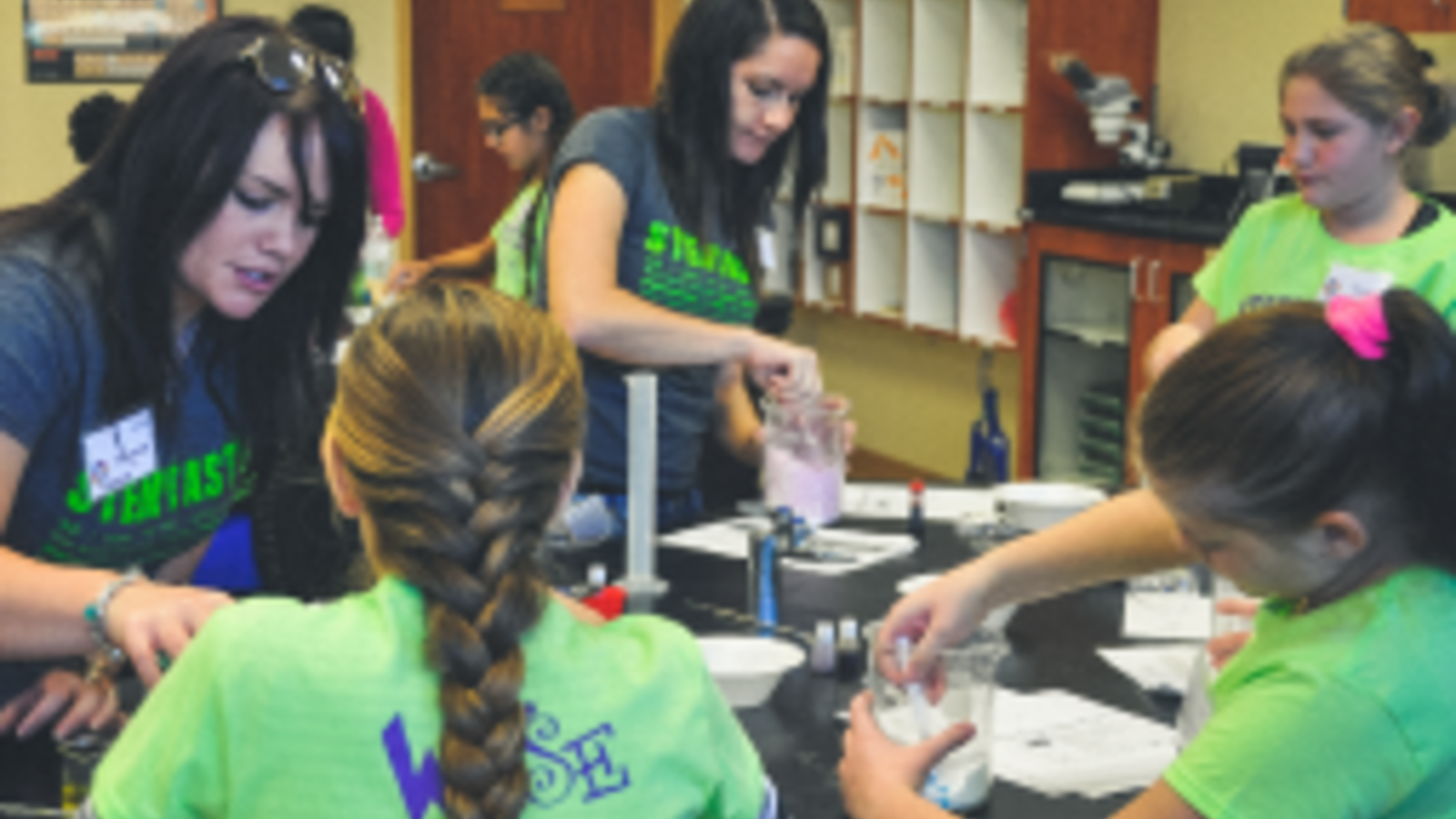 Women in Science Endeavors (WISE)