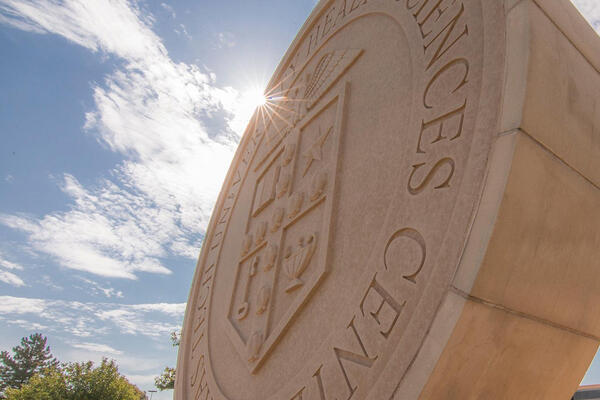 Texas Tech University Health Sciences Center's stone seal monument viewed from a low angle, against a blue sky with sunlight shining.