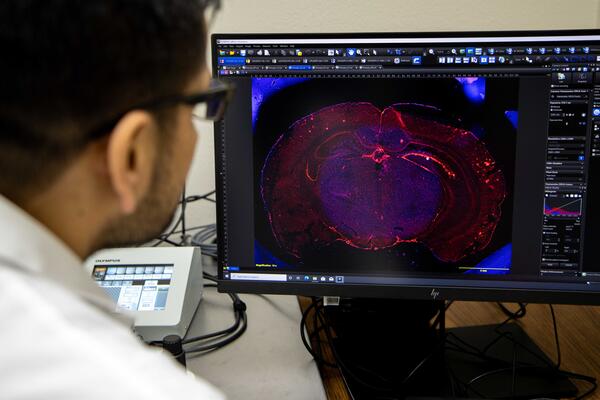 news-release/images/ttuhsc-carnegie-classification__58fec8da-7119-4e56-9a6f-2ba72df0b89d.jpg