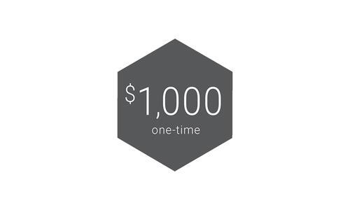 Gray hexagonal graphic featuring white text that reads "$1,000 one-time."